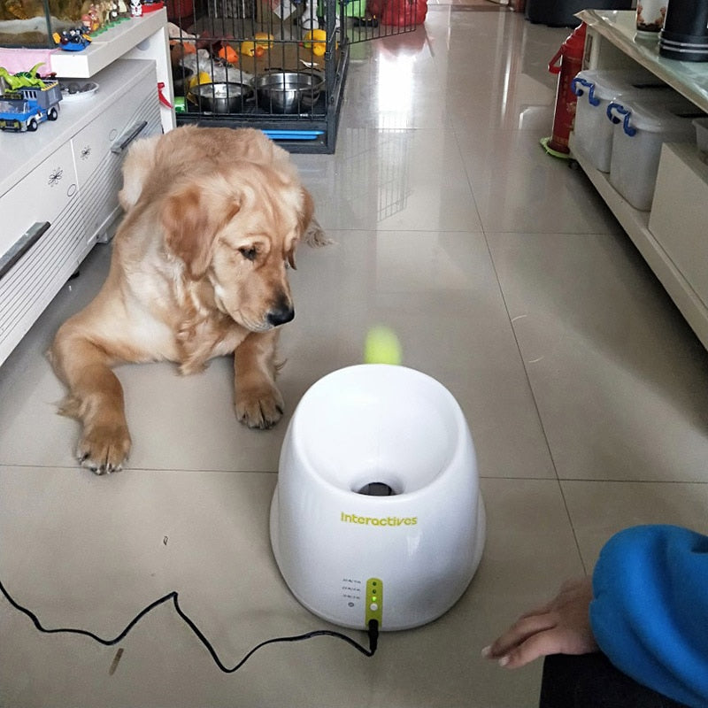 Brinquedos Interativos Lançador Automático de Bolas para Cães