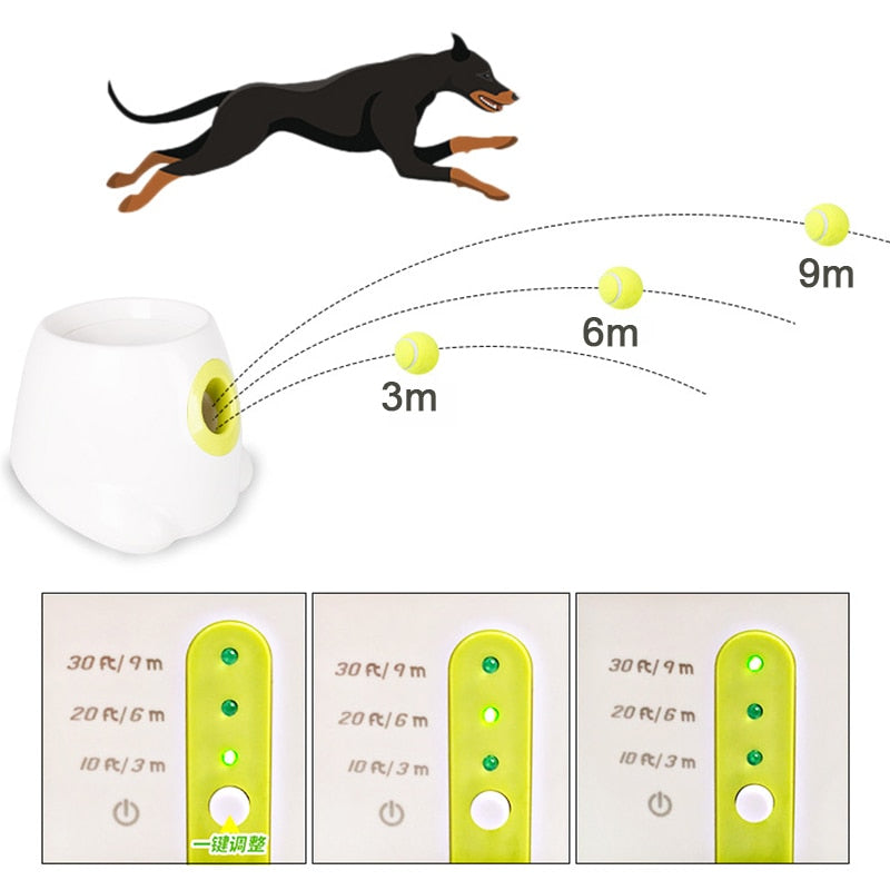 Brinquedos Interativos Lançador Automático de Bolas para Cães