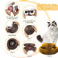 Brinquedo Interativo Arranhador para Gatos 